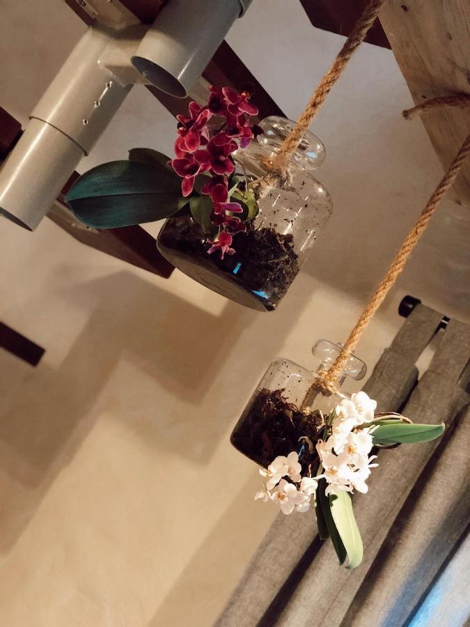 Clockhouse Cottage 拉脱维亚 外观 照片